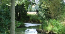 La Vrille: Parcours de pêche